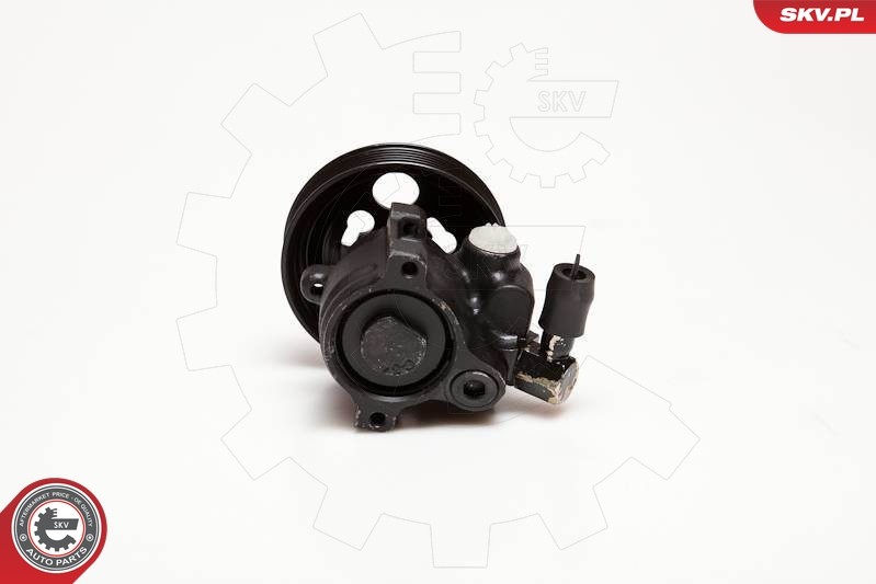 Fits SKV GERMANY 10SKV097 POWER PUMP 10SKV097 / DSP142 FORD COURIER F ⭐UK Stock⭐