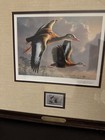 Federal Duck Stamp Prints Framed (3) — photo 6
