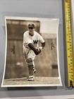 Washington Senators Vintage Press Photo In Catchers Leg Protection — photo 2
