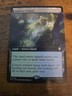 Sodden Verdure (Extended Art) Commander: Lorwyn Eclipsed Regular