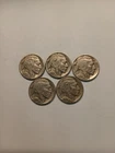 Lot Of 5 Buffalo Nickels