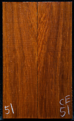 Cabbage Bark #51 Knife Scales 5'' x1.5''x 7/16'' see 100 species in my store