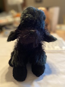 webkinz black poodle