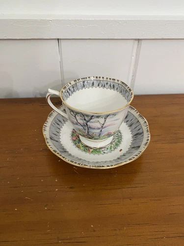 Royal Albert Bone China Silver Birch Teacup