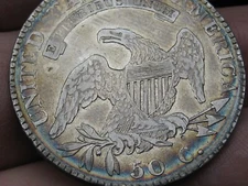 1820-1829 Capped Bust Silver Half Dollar- VG Details, Reverse Toning