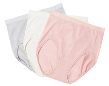Breezies Set of 3 Nylon Microfiber Hi-Cut Briefs Small A287800 12987
