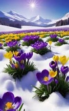 5D Diamond Painting Krokus im Schnee Vollrundbohrer 25cm x 25cm