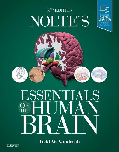 Nolte's Essentials of the Human Brain Vanderah Paperback Elsevier 2e - Image 2