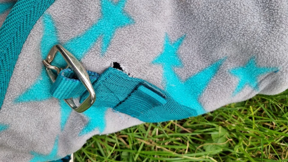 Abschwitzdecke - Sterne - 135 - türkis - Horse-friends - TOP - Bild 3 von 4