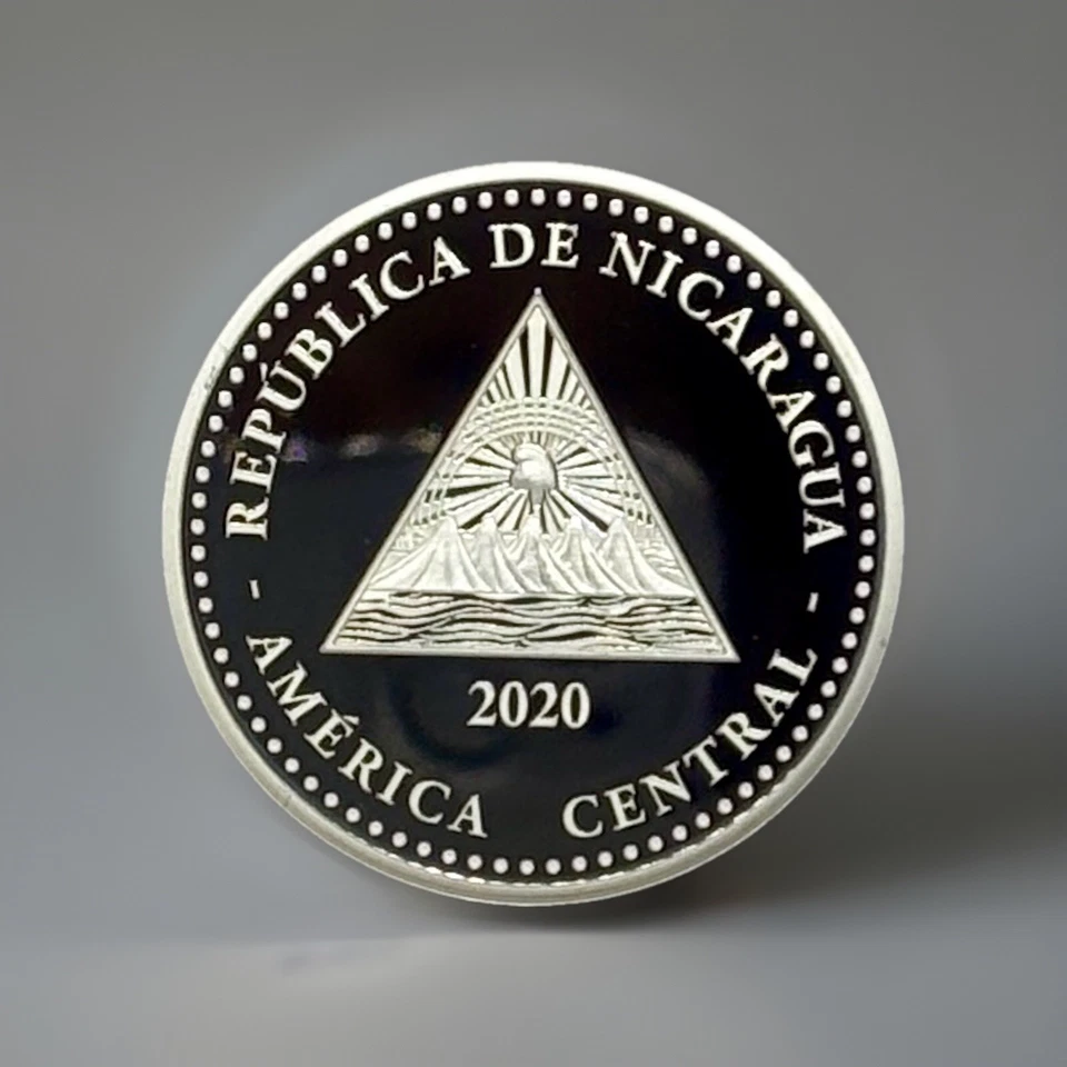 2020 1 盎司银色。 NICARAGUA 10 CORDOBAS 海龟。 FABULOUS 15 系列 — 第 4/4 张图片