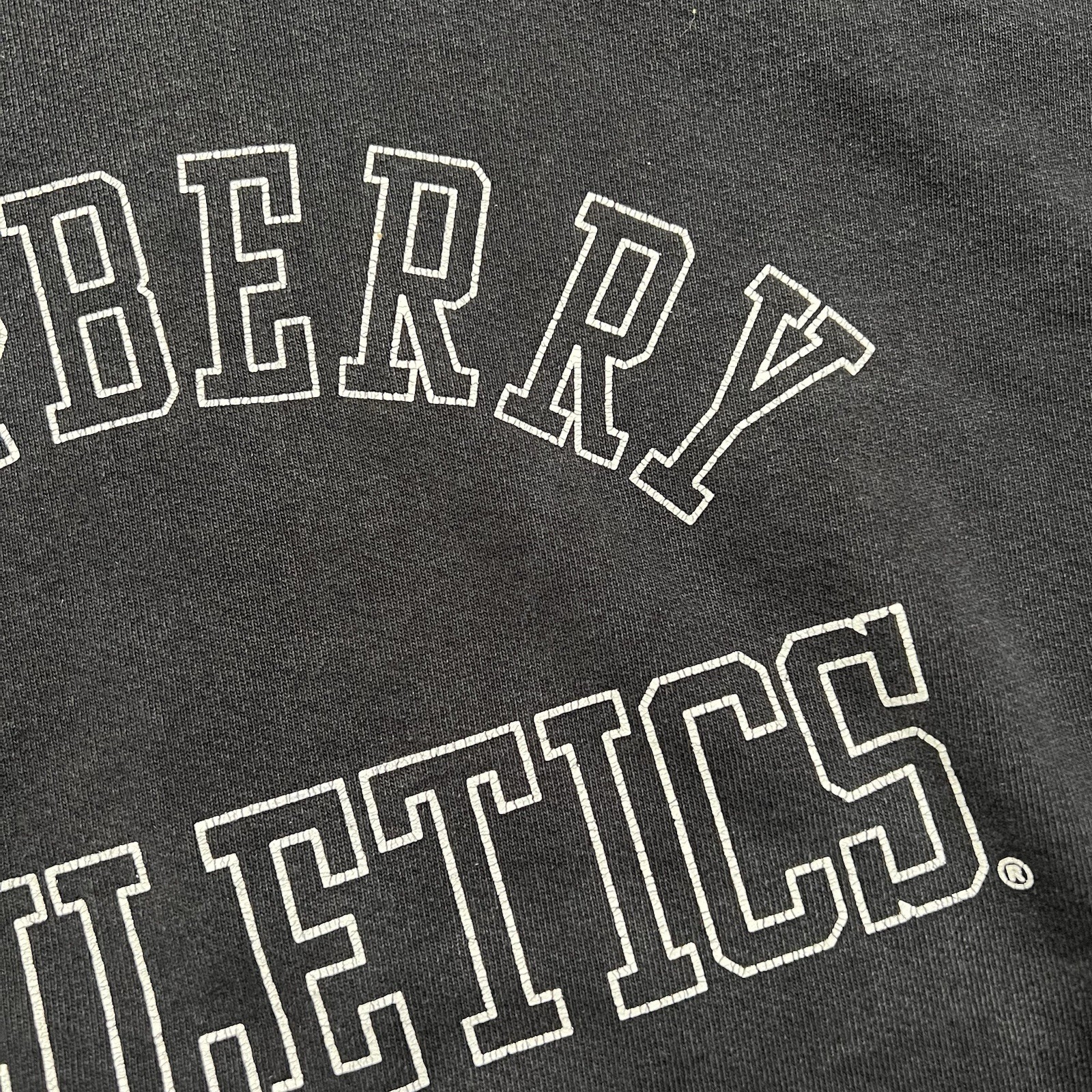 GV Gallery Raspberry Hills Raspberry Athletics Ho… - image 8