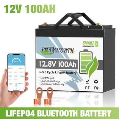 TCBWORTH 12V 100Ah Mini LiFePO4 Batterie Klasse A mit 100A BMS for Solar RV Boot Marine