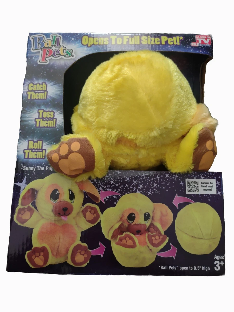 Ball on sale pets puppy