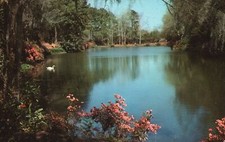 Vintage Postcard 1968 Mirror Lake Bellingrath Garden Mobile Alabama Carter's New