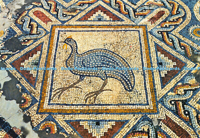 D069761 Zypern. Bodenmosaik Curium. Limassol. Takis Mourettos. Postkarte Colorf