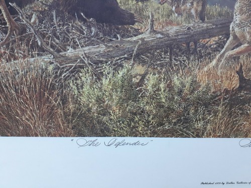 TOM BEECHAM Raro " IL DIFENSORE" S/N 10/450 1979 26" x 20" - Foto 6 di 9