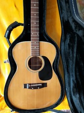 Mid Sixties Japanese-made Ventura-v-10 W/new Case (zero Fret)