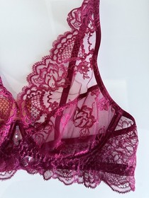 Lise Charmel Sublime en Dentelle Embroidered Tulle Triangle Bra Size 34B