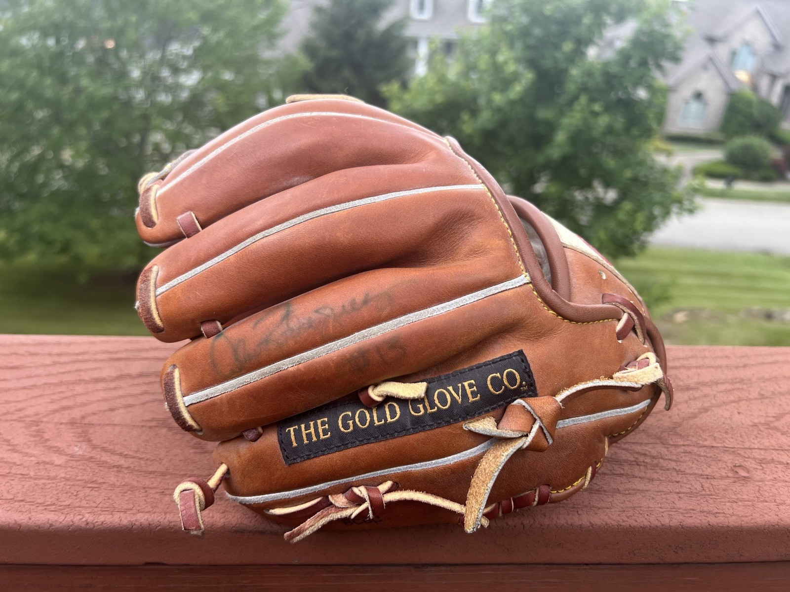 Alex Rodriguez Game Used Trainer Glove Rawlings Gold Glove HOH 9.5” Auto Signed view 3