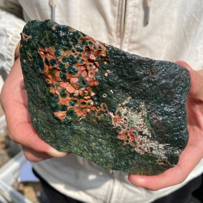 1.6lb Raw Natural ocean jasper Rough Crystal rocks mineral Healing