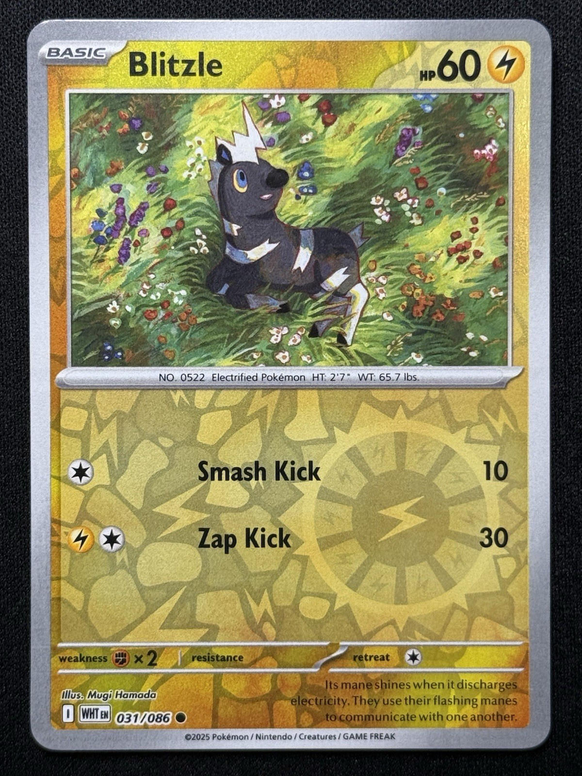 Blitzle 031/086 Sv: White Flare Reverse Holo NM