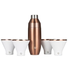 SNOWFOX Stainless Steel Cocktail Shaker and Martini Glass Set, Gold and White