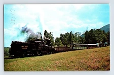 Postcard Railroad Train Cass Scenic Shay Locomotive Gum Field WV 1960s Unposted
