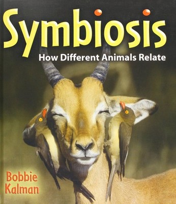Symbiosis: How Different Animals Relate (Big Science Ideas)