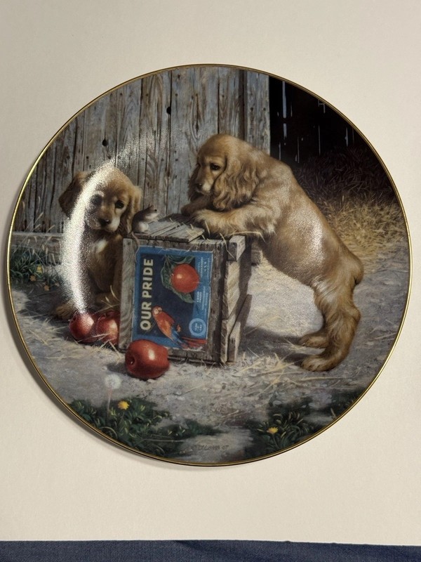 Rare Double Take Puppy Playtime Plate Collection Cocker Spaniel 1987 Jiim Lamb,8