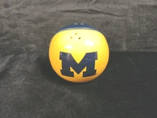U of Michigan Wolverines Ceramic Salt & Pepper Shakers Yellow Blue GO BLUE