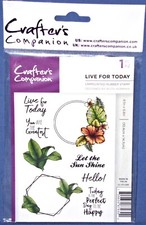 Crafter's Companion Live For Today Unmounted Gray Rubber Stamps 8pc Set New