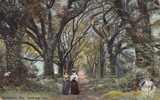 GA~GEORGIA~SAVANNAH~LADIES WALKING ON HERMITAGE AVENUE (OLD PLANTATION)~C.1910