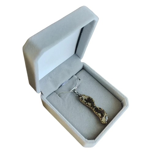Meteorite pendant, Brenham Pallasite Meteorite pendant Necklace TB246 - Picture 10 of 10