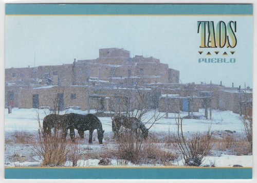 Taos Pueblo in Winter Snowing Horses New Mexico NM Native American Postcard - Picture 1 of 2