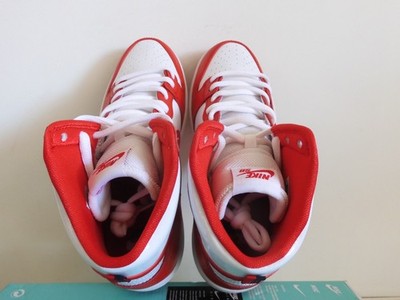 Nike Sb Zoom Dunk High Pro Future Court University Red-White Sz 11