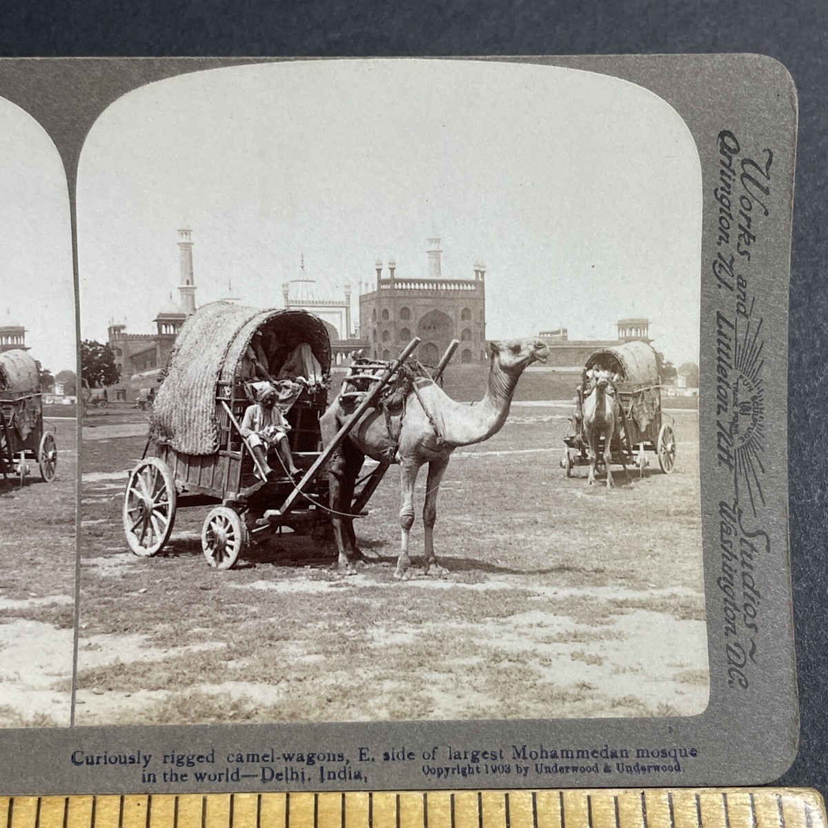 Antique 1903 Camel Pulls A Covered Wagon In India Stereoview Photo