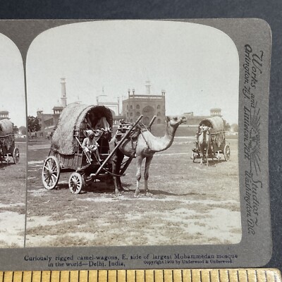 Antique 1903 Camel Pulls A Covered Wagon In India Stereoview Photo