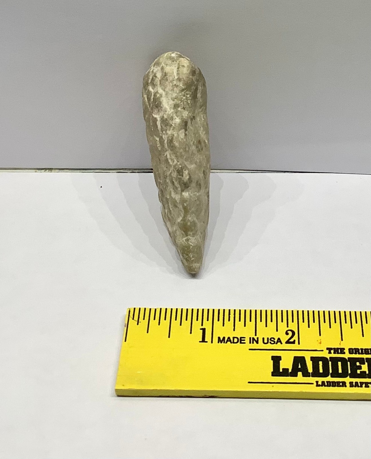 Petoskey Stone Coral Rock Fossil Collectible 2.25 oz 63g Unpolished Michigan