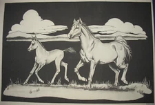 * TRI CHEM ND NO DIRECTIONS HORSE AND COLT CLOUDS SUEDE Picture SV 1824