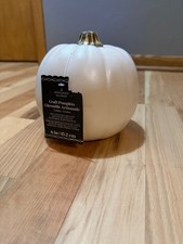 White Faux Pumpkin Decoration By Ashland