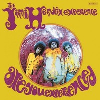Jimi Hendrix, Jimi Hendrix (1942-1970): Are You Experienced (Remastered) (180G)