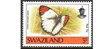 SWAZILAND 1992 BUTTERFLY 5c