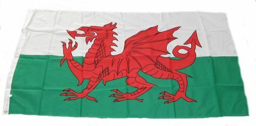 Wales Flagge 30 X 45 Cm – Polyester, Siebdruck, Wasser- & Sonnenbeständig, Mit Hohlsaum