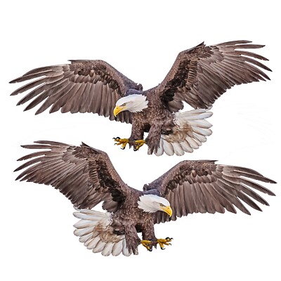 2 Pack Brown Soaring BALD EAGLE USA DECAL STICKER TRUCK VEHICLE WINDOW Realistic