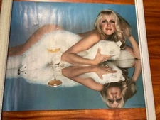 VINTAGE 1979 SUZANNE SOMERS SEXY 20''X 28'' POSTER  PRO ARTS 14-304