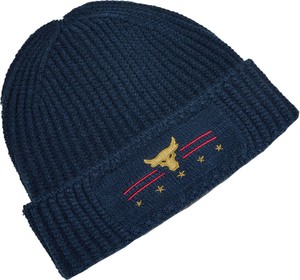 ua beanie hat