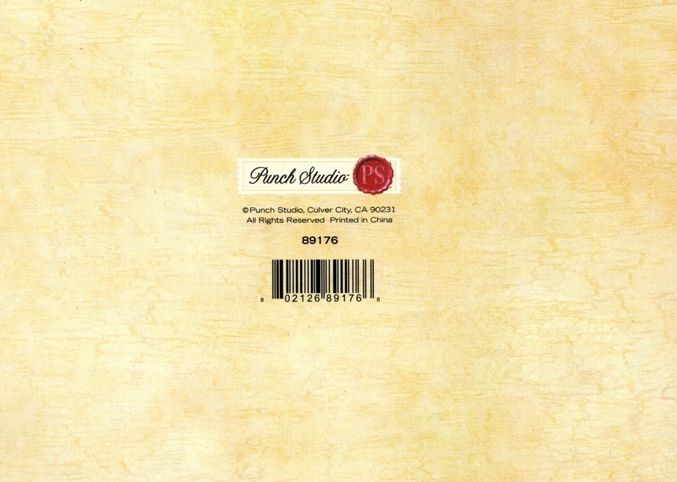 Merry Evergreen Christmas Tree Trees Greeting Cards By Punch Studio - Set of 4 - Image 3 of 3