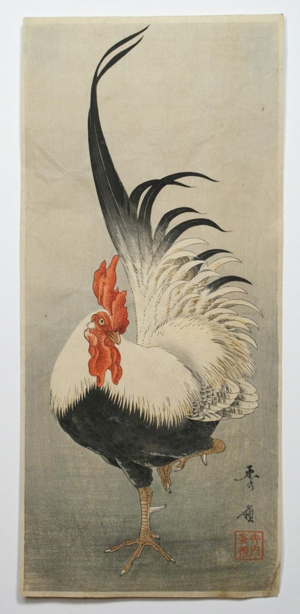 アート・デザイン・音楽 Showa 88 usui kazuyoshi Showa 88 - Kazuyoshi USUI | shashasha - Photography & art in books