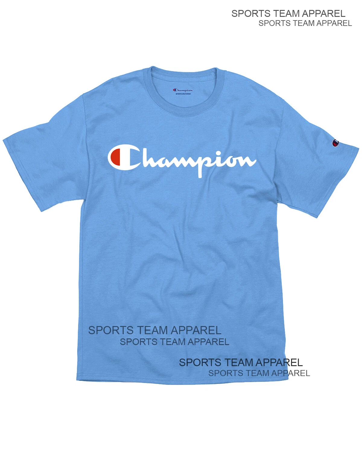 Champion Men's Jersey T-Shirt Classic Fit with Script Logo