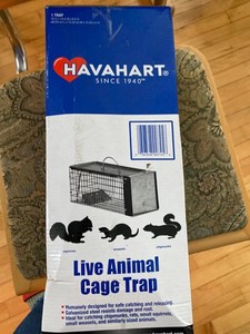 Havahart 16 inch by 6 width 6 inches.  In the box